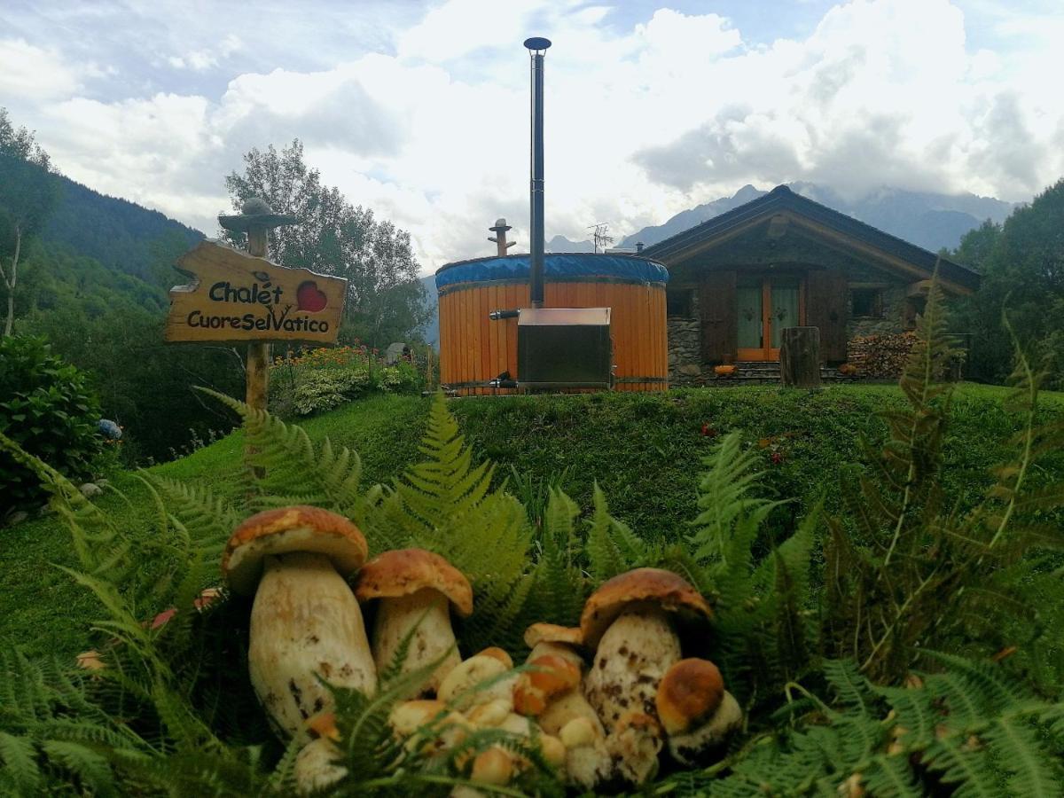 Chalet Cuore Selvatico Monno Екстериор снимка